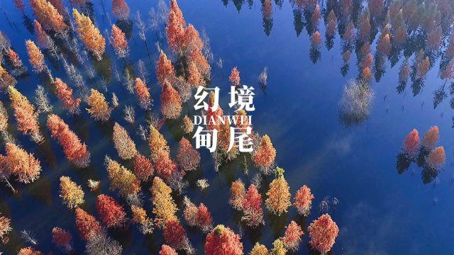 叠方块消消看